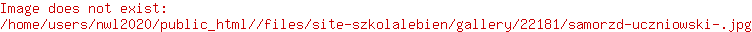 Grafika 1: Samorząd Uczniowski