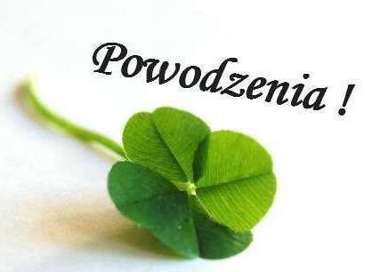 obrazek z internetu z napisem powodzenia