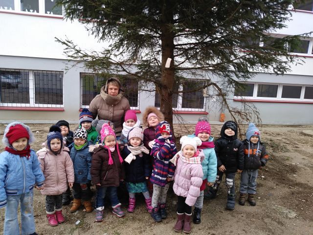 Grafika #0: Dokarmiamy ptaki.