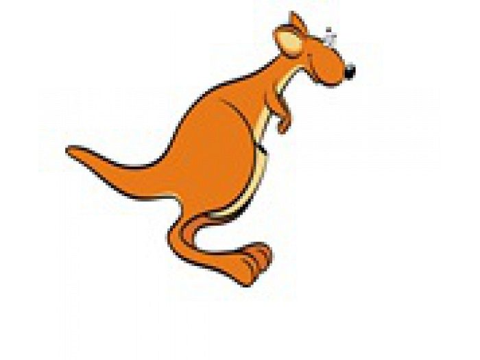 Grafika #0: Już są wyniki "Kangura"!