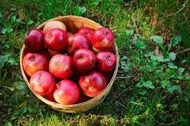 Grafika #0: Jemy jabłka!