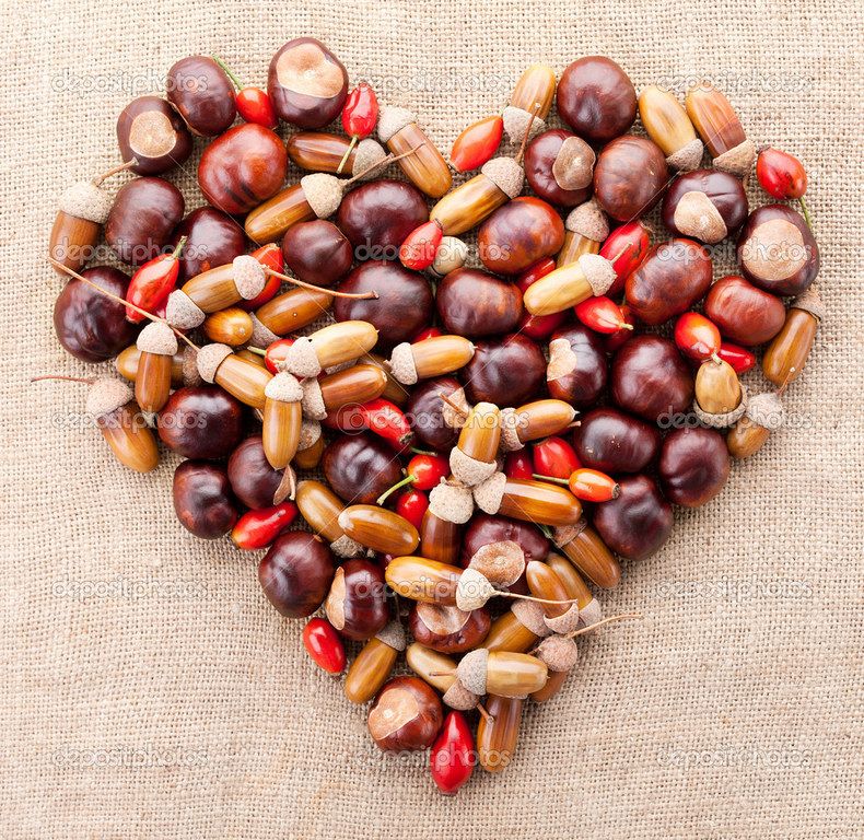 Grafika #0: Zbiórka kasztanów i żołędzi.