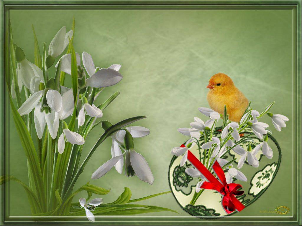 Grafika #0: Przerwa świąteczna