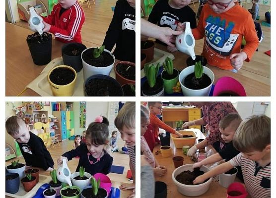 Sadzenie kwiatów-tworzenie kącika przyrodniczego