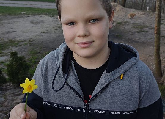 Akcja "Żonkile" w naszej szkole