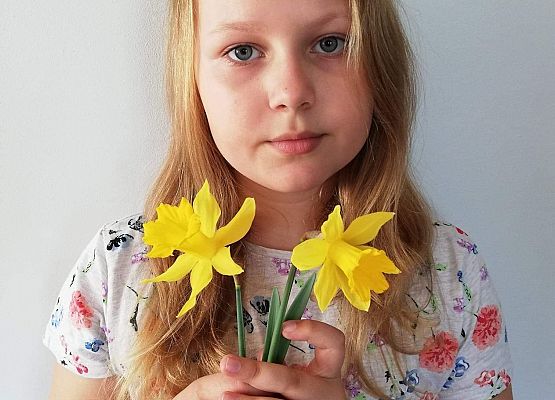 Akcja "Żonkile" w naszej szkole