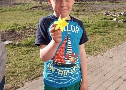 Akcja "Żonkile" w naszej szkole