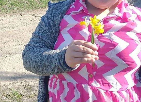 Akcja "Żonkile" w naszej szkole