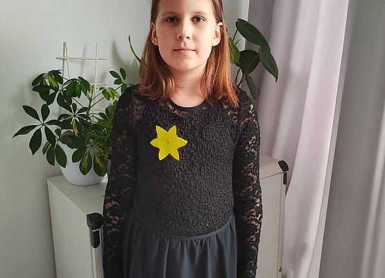 Akcja "Żonkile" w naszej szkole