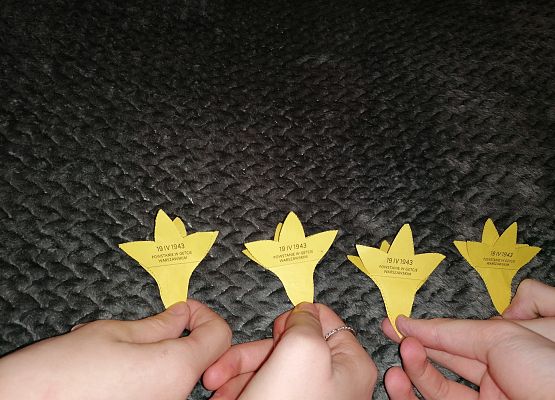 Akcja "Żonkile" w naszej szkole