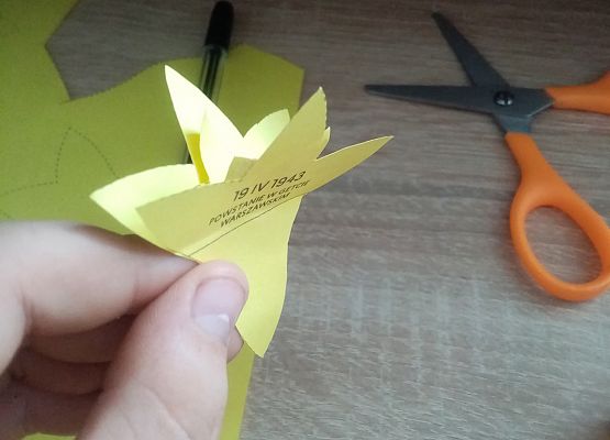 Akcja "Żonkile" w naszej szkole