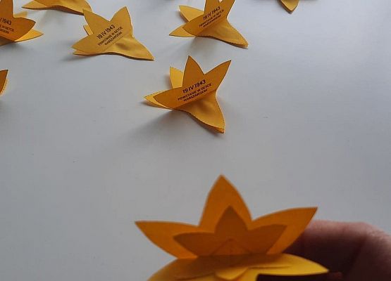 Akcja "Żonkile" w naszej szkole