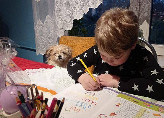 NAUKA ZDALNA W GRUPIE JEŻYKÓW