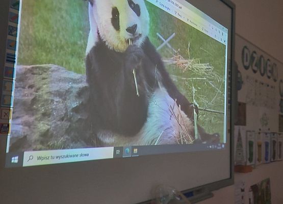 Film o zagrożonych gatunkach zwierząt