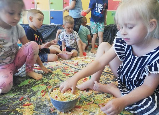 Sensoplastyka w przedszkolu