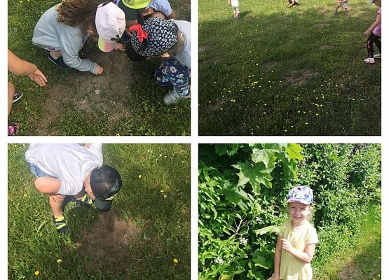 Zajęcia w Przedszkolu - Kubusiowi Przyjaciele Natury