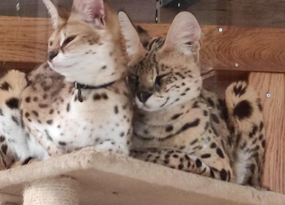 Uczniowie klasy 2 w Tuchlinie