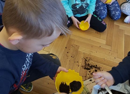 Przedszkolaki sadzą roślinki