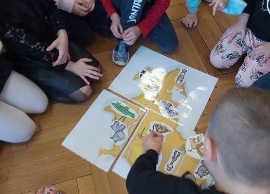 Zwierzęta różnych kontynentów