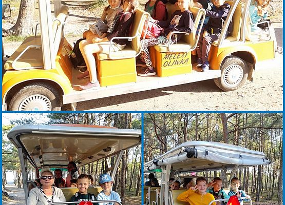 Uczniowie jadą meleksem