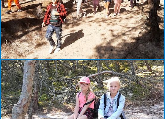 W drodze powrotnej z latarni