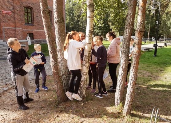 Uczniowie oglądają  drzewa