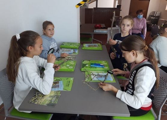 Uczniowie podczas zajęć