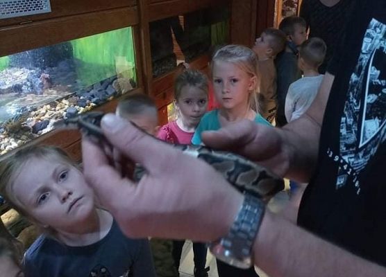 Przewodnik opowiada o gadach