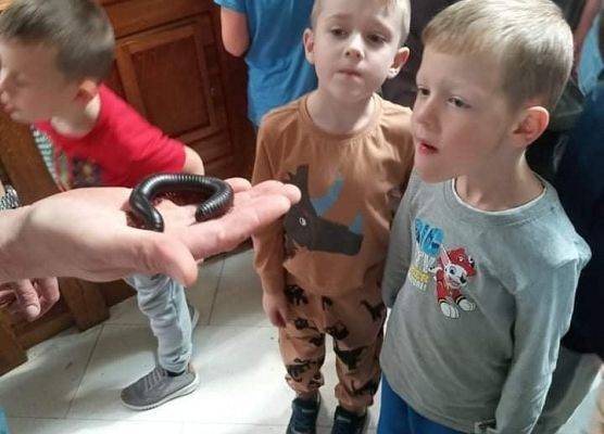 Dzieci oglądają krocionoga