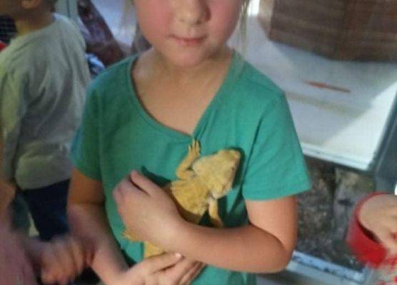 Dziewczynka trzyma agamę brodatą