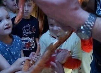 Przewodnik pokazuje dzieciom węża zbożowego