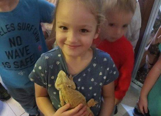 Dziewczynka trzyma agamę brodatą