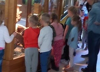 Dzieci oglądają zwierzęta w gablotach