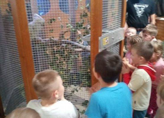 Dzieci przed gablotą