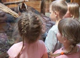 Dzieci podziwiają wiewiórkę