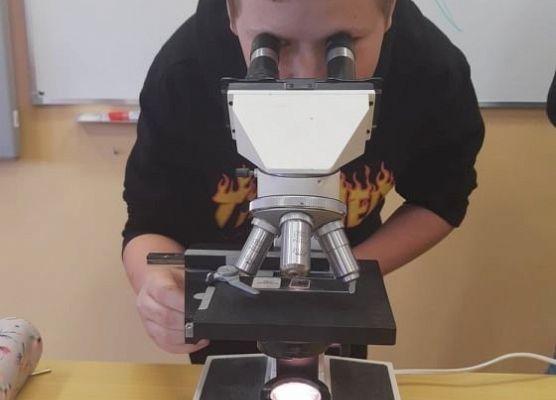Uczeń prowadzi obserwację mikroskopową