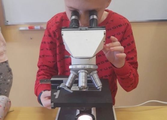 Uczeń prowadzi obserwację mikroskopową