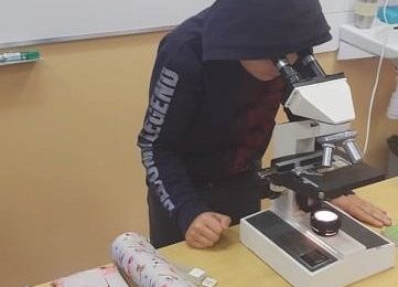 Uczeń prowadzi obserwację mikroskopową