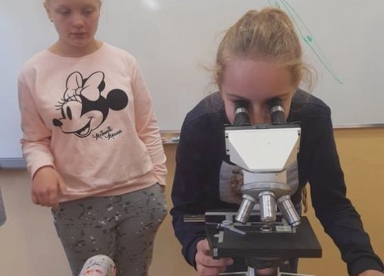 Grafika 1: Lekcja biologii