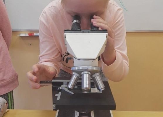 Uczennica prowadzi obserwację mikroskopową