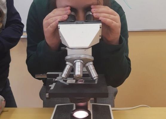 Uczennica prowadzi obserwację mikroskopową