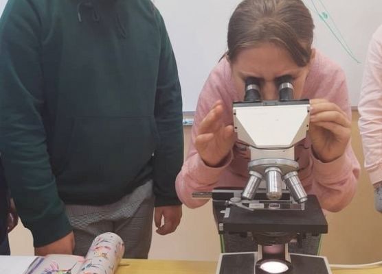 Uczennica prowadzi obserwację mikroskopową