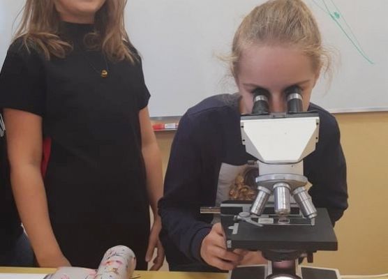 Uczennica prowadzi obserwację mikroskopową