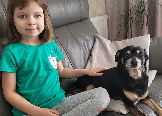 Dziewczynka siedzi obok psa