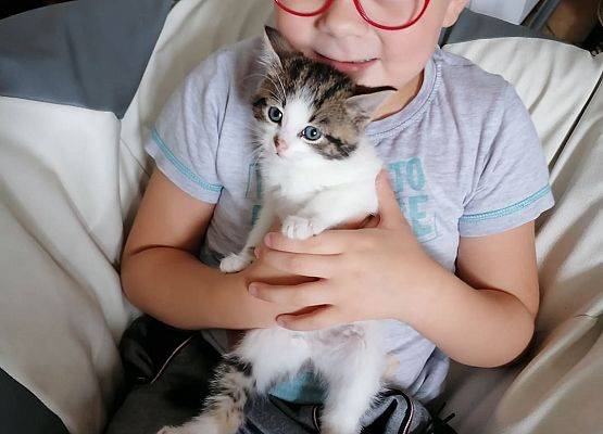 Chłopiec trzyma kota