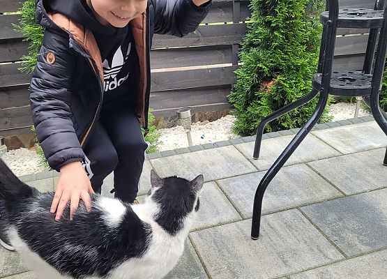 Chłopiec głaska  kota