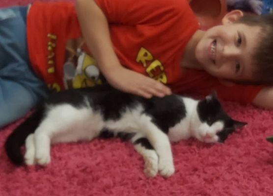 Chłopiec leży obok kota