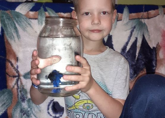 Chłopiec pokazuje swoją rybkę