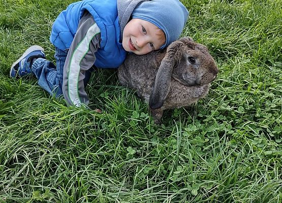 Chłopiec przytula się do królika