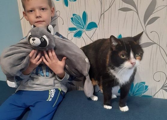 Chłopiec siedzi koło kotka